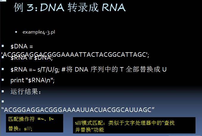 Perl语言在生物信息学中的应用