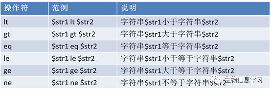 （二）Perl中的运算符介绍