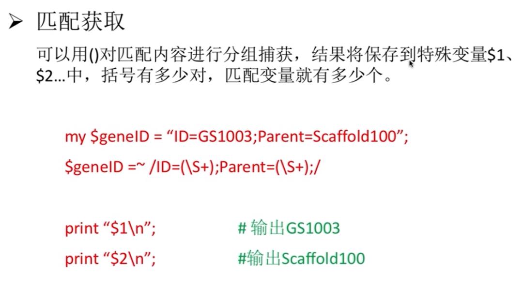 Perl —— 输入输出&子程序&正则表达