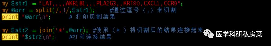 Perl 在生信中的应用 | 3. 数组