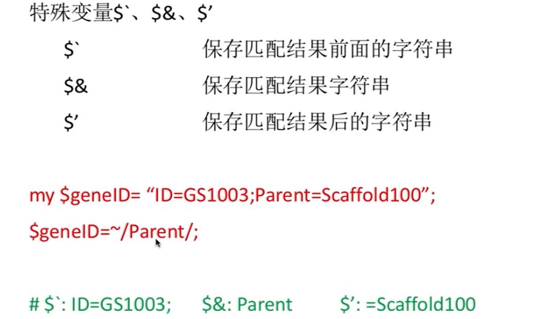 Perl —— 输入输出&子程序&正则表达