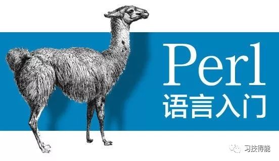 Perl礼包｜最具有移植性的编程环境