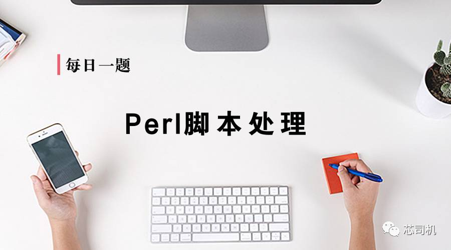 《每日一题》第81题Perl脚本处理：利用perl对文本进行处理