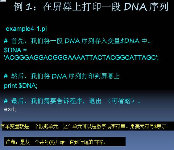 Perl语言在生物信息学中的应用