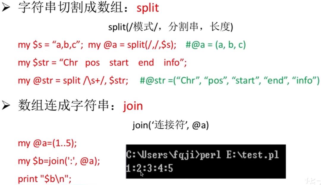 Perl——标量&列表数组