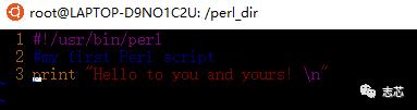 初识perl脚本