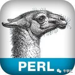 Perl 基础语法