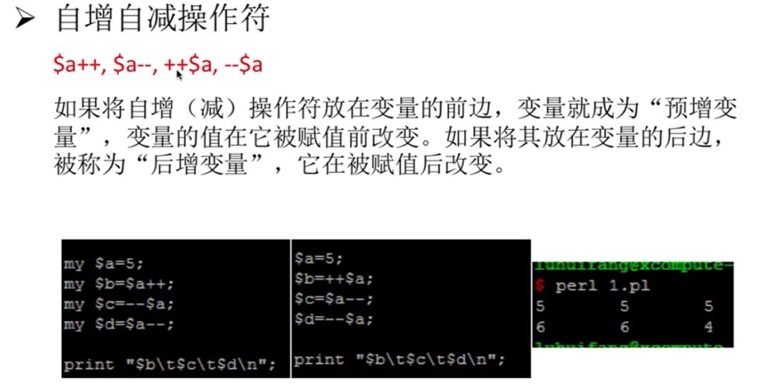 Perl——标量&列表数组