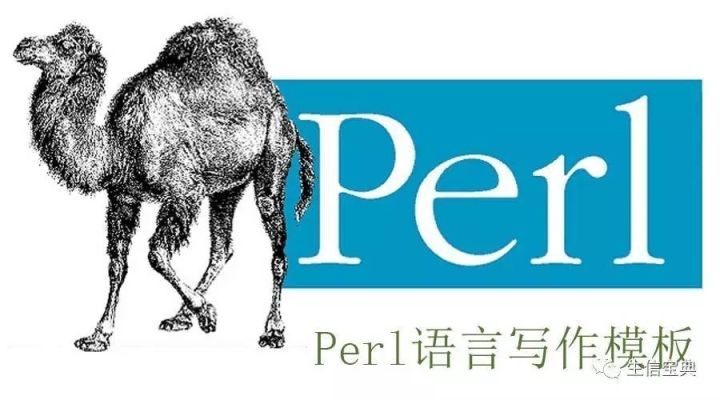 生信人值得拥有的编程模板-Perl