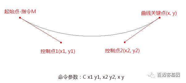 Perl画图：SVG基础篇（附资料下载）