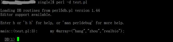 关于debug，Perl命令行调试器了解一下