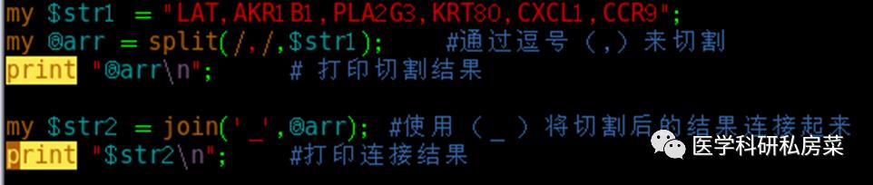 Perl 在生信中的应用 | 3. 数组