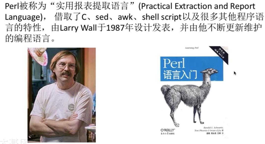 Perl——标量&列表数组