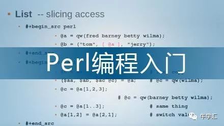 Perl 基础语法
