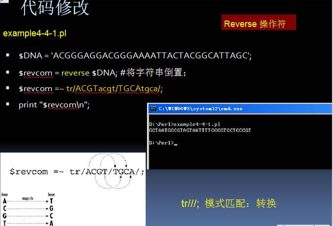 Perl语言在生物信息学中的应用