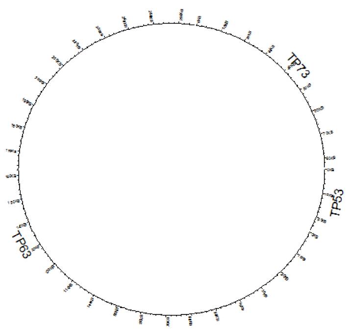 作Circos图不用学Perl了，我们有R！