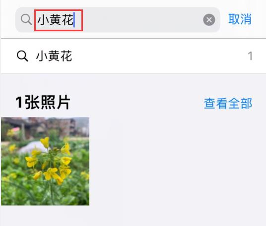 iOS14：照片可以命名，查找更方便丨微信整蛊新玩法！