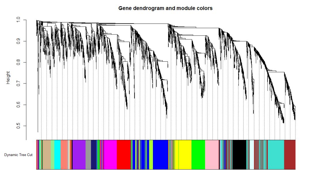 R语言 | 加权基因共表达网络分析（WGCNA）