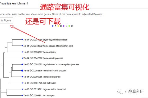 [爆炸好用神器04]-不会R语言的前提下，一网打尽芯片，测序数据分析！附赠高颜值Figure