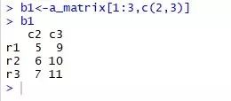 R语言#数据集&矩阵