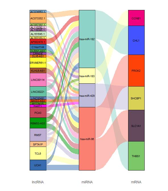 一种ceRNA关系网络的新颖画法，R语言绘制冲击图（桑基图）教程