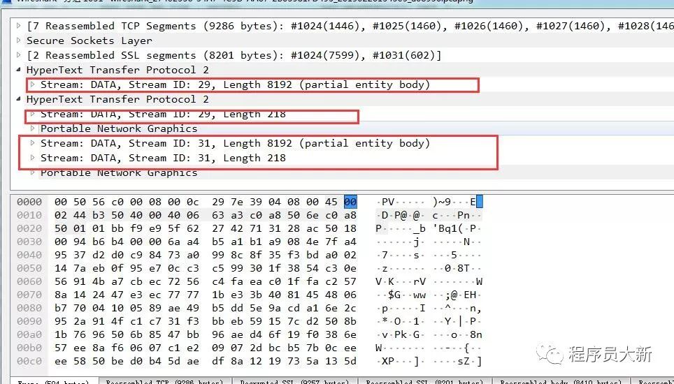 http2协议之底层原理抓包分析与视频讲解