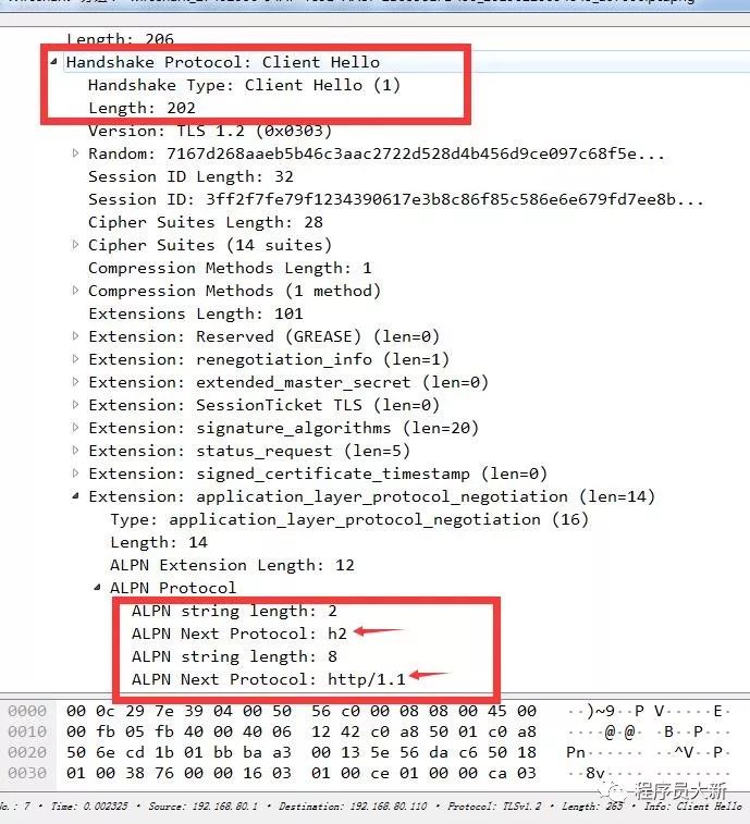 http2协议之底层原理抓包分析与视频讲解