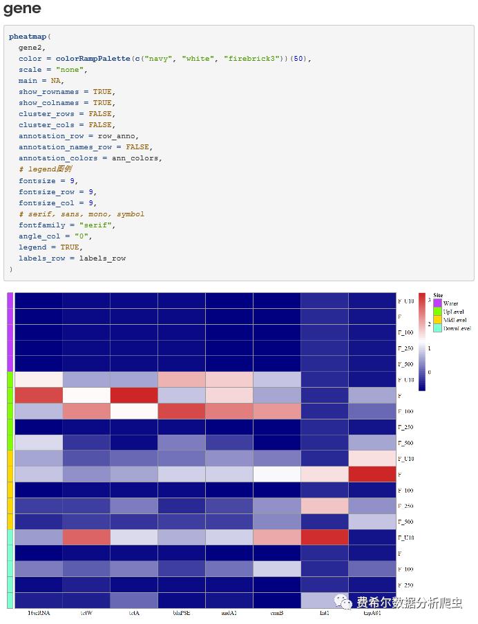 R语言heatmap包绘制热力图/生物信息学/基因表达差异陈金文老师手把手教学