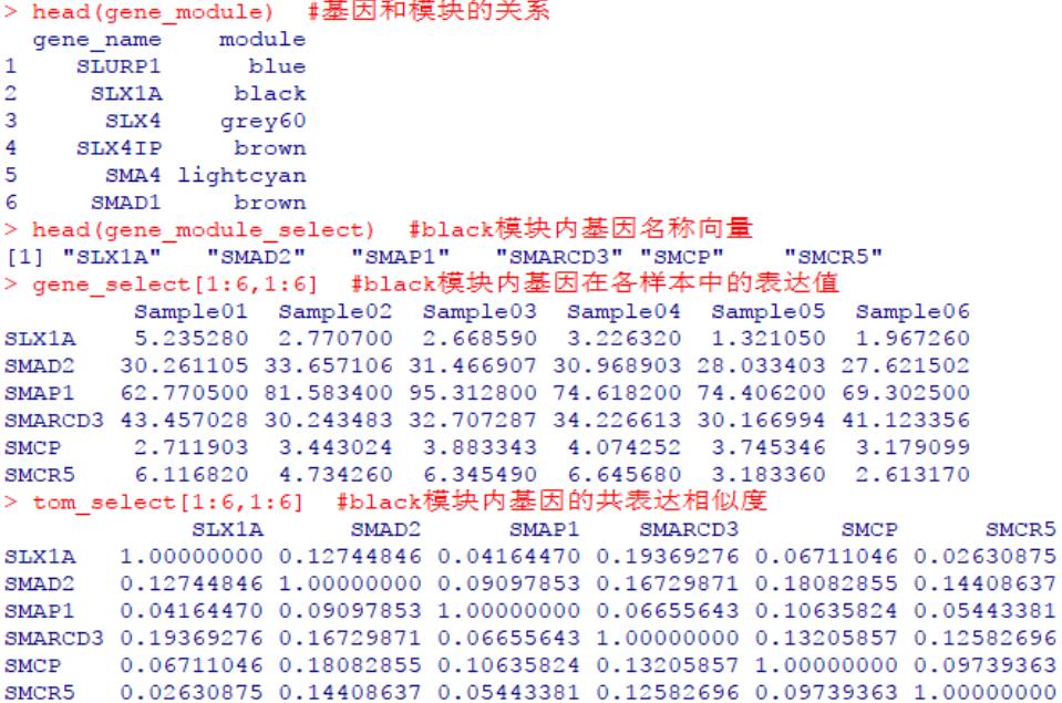 R语言 | 加权基因共表达网络分析（WGCNA）