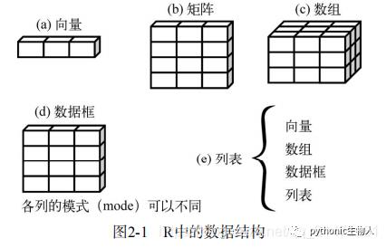 R语言基础(2)-向量|矩阵|数组|数据框|数据IO|实用函数