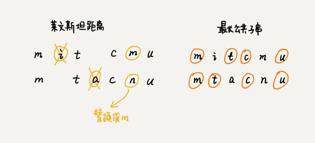 鍔ㄦ€佽鍒掑疄鎴橈細濡備綍瀹炵幇鎼滅储寮曟搸涓殑鎷煎啓绾犻敊鍔熻兘锛? class=