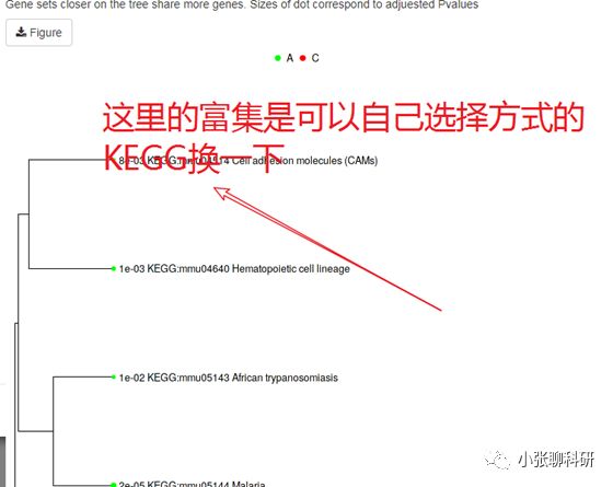 [爆炸好用神器04]-不会R语言的前提下，一网打尽芯片，测序数据分析！附赠高颜值Figure