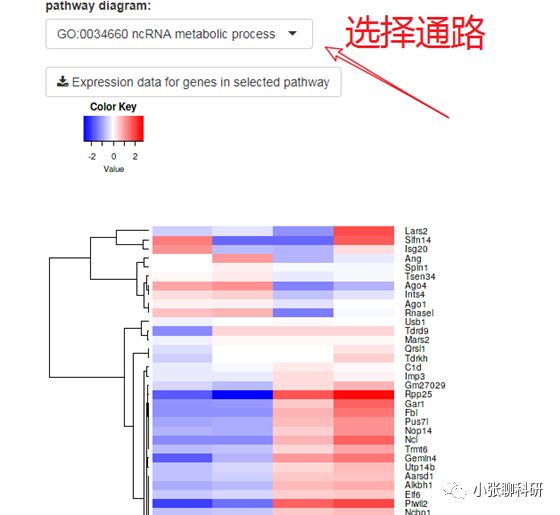 [爆炸好用神器04]-不会R语言的前提下，一网打尽芯片，测序数据分析！附赠高颜值Figure