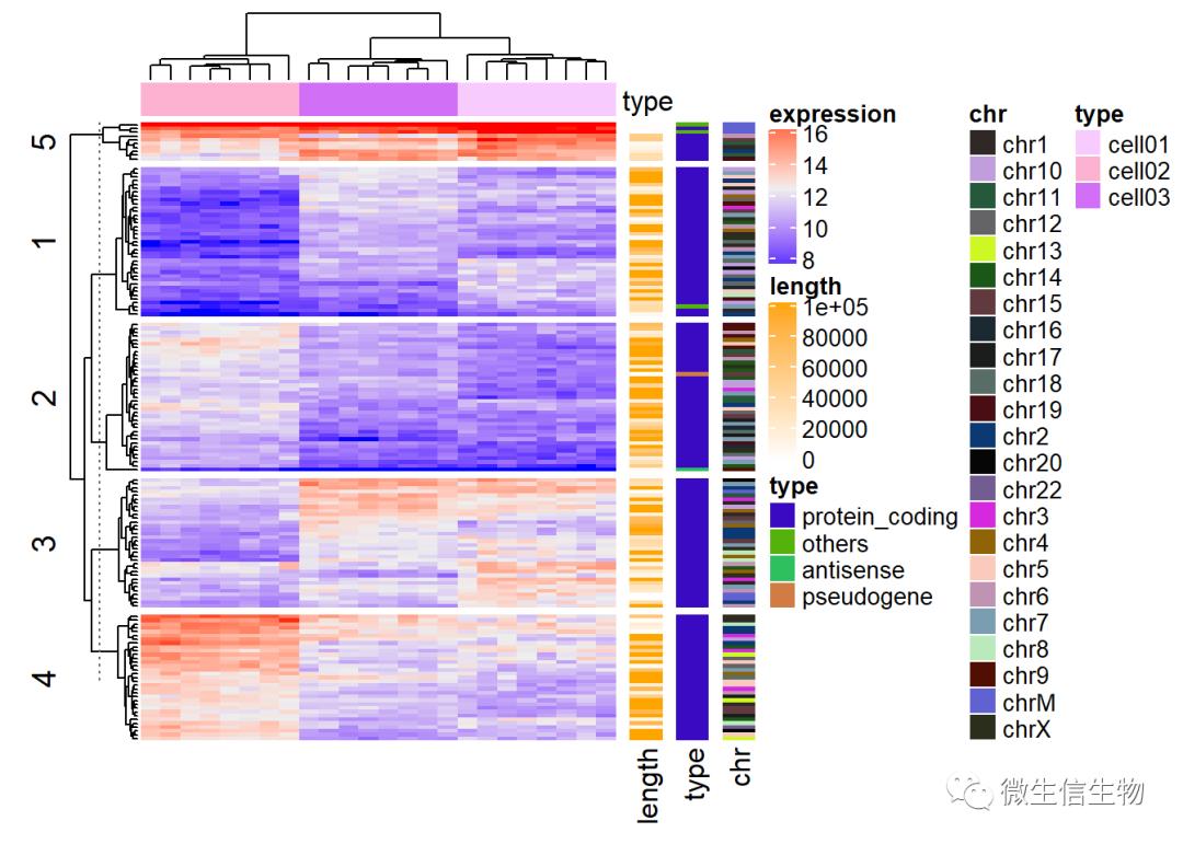 R语言热力图综合教程-heatmap、d3heatmap和ComplexHeatmap