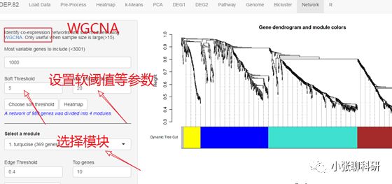 [爆炸好用神器04]-不会R语言的前提下，一网打尽芯片，测序数据分析！附赠高颜值Figure