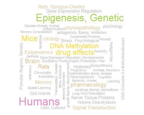 文献太多看不过来？教你用R语言快速挖掘pubmed文献信息数据