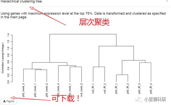 [爆炸好用神器04]-不会R语言的前提下，一网打尽芯片，测序数据分析！附赠高颜值Figure