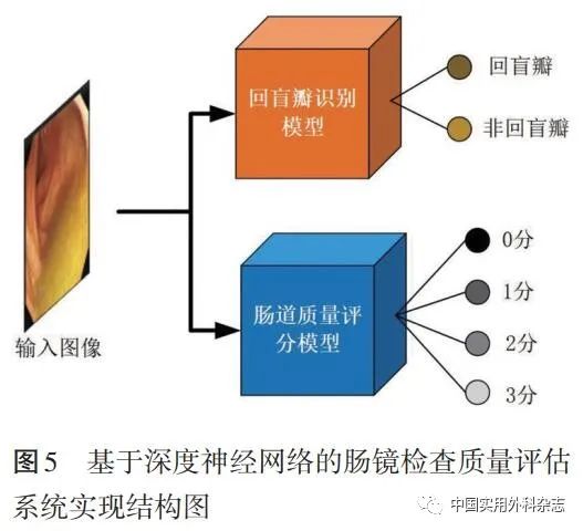 论著｜基于深度学习人工智能在结肠镜检查中应用研究