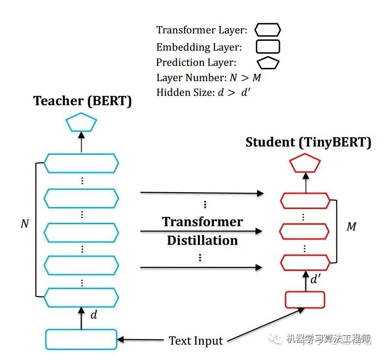 重磅！一文深入深度学习模型压缩和加速