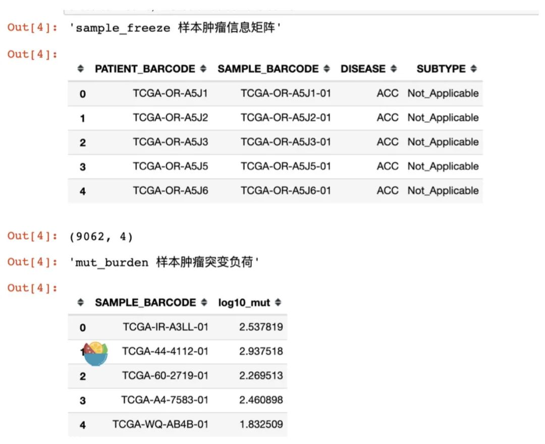 代码教程：机器学习or深度学习