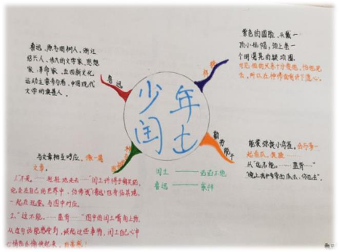 深度学习：从“学习设计者”到“有效支持者” ——《少年闰土》为例