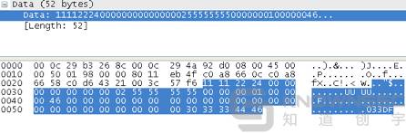 VxWorks Fuzzing 之道：VxWorks 工控实时操作系统漏洞挖掘调试与利用揭秘