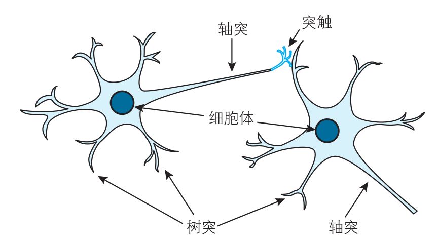 一个高度近视眼的深度学习实践