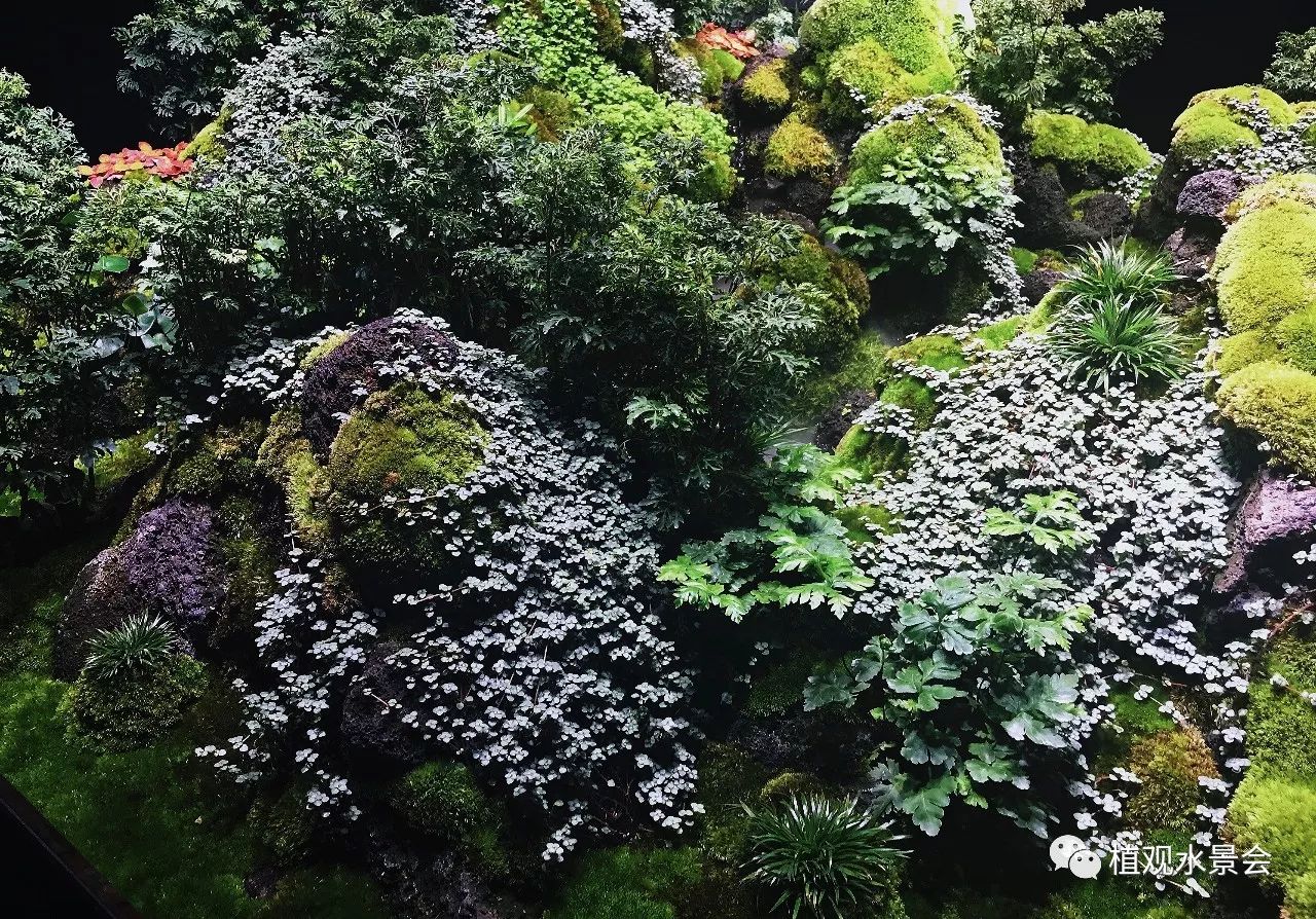 商业智能雨林生态艺术景观