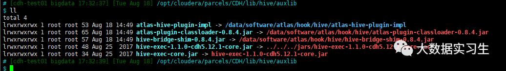 CDH 平台集成 Apache Atlas