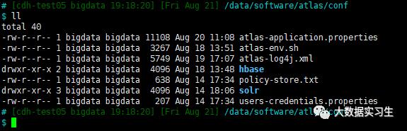 CDH 平台集成 Apache Atlas