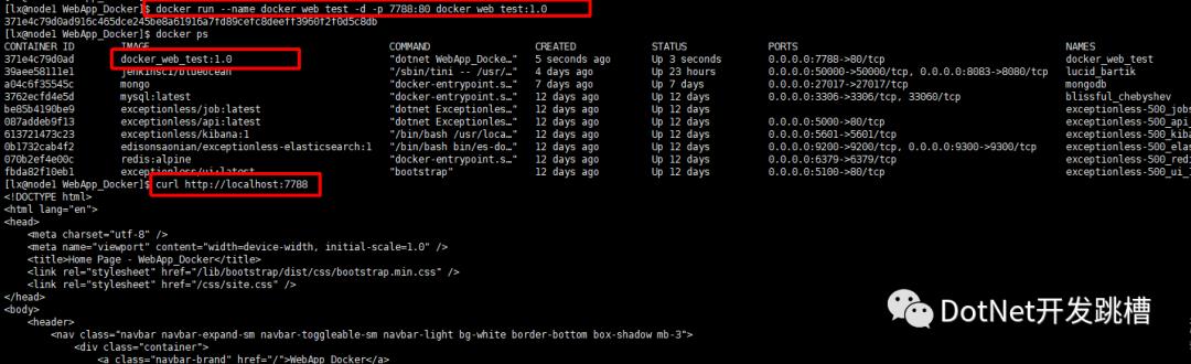 让.NetCore程序跑在任何有docker的地方