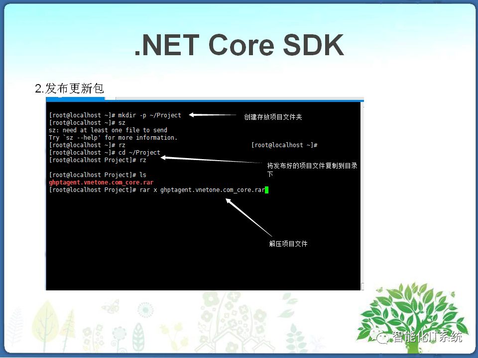 linux系统部署.net core项目
