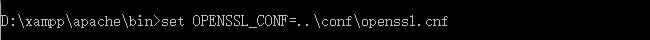 XAMPP Apache关于https配置问题