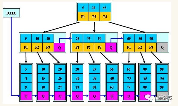 [编程 | Phthon | 02] Python3常用算法整理